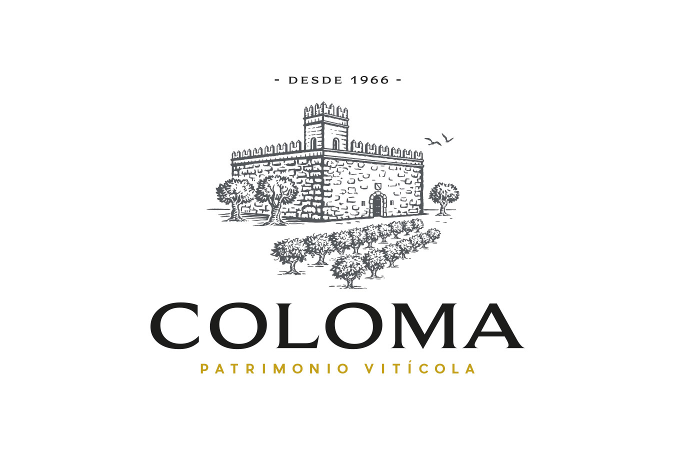 Coloma identidad - Eva Arias Graphic Studio